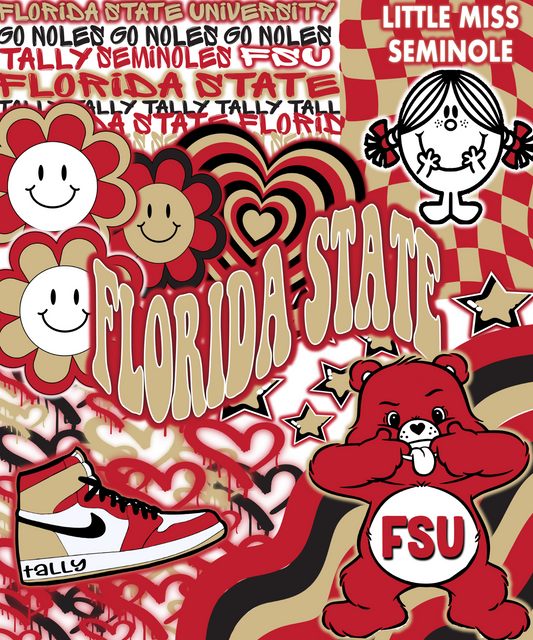 Florida State University Plush Blanket