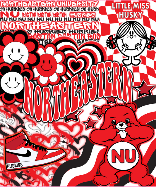 Northeastern University Plush Blanket